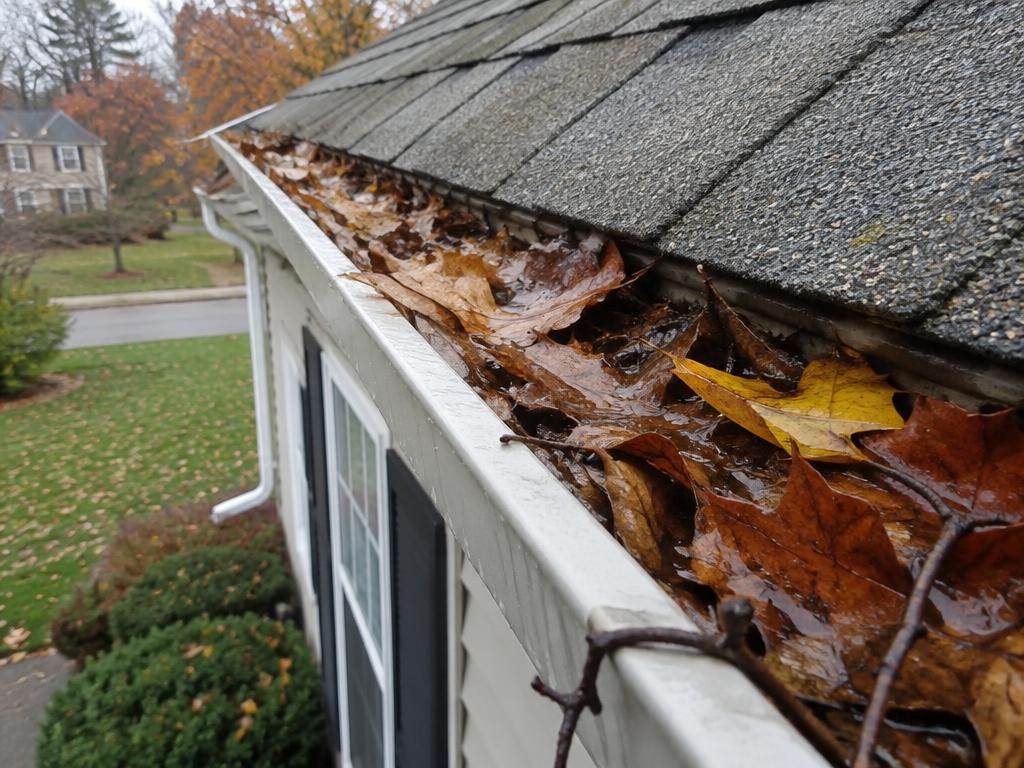 Before: Gutter packed with wet autumn leaves